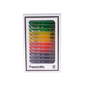 Slides, set de lame pentru microscop (set de 12 bucăți)